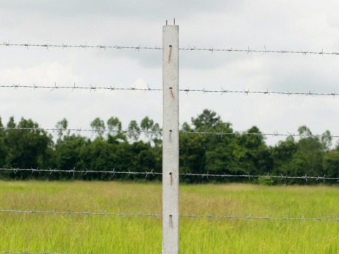 ขายส่งเสาคอนกรีตล้อมรั้วลวดหนาม ปทุมธานี